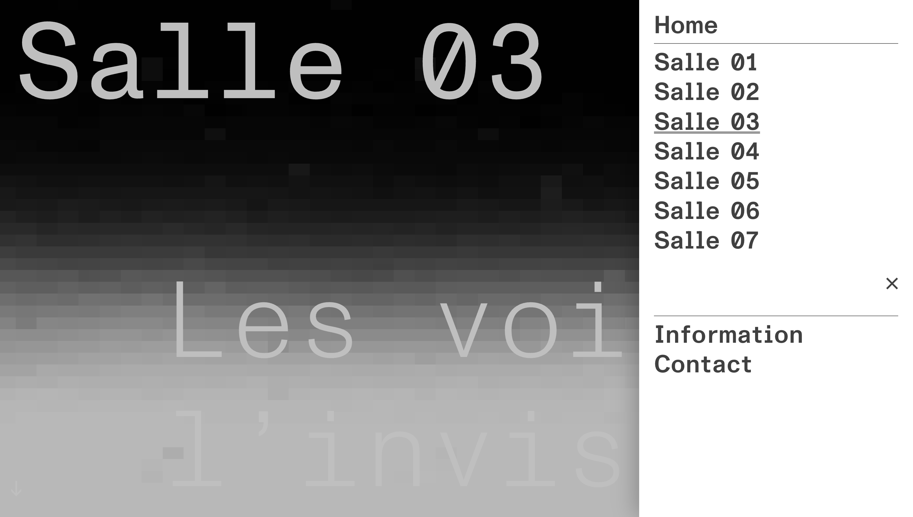 Salle 03 — Les voix de l'invisible